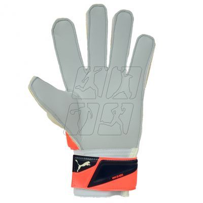3. Puma Evo Power Grip 2 Aqua 41145 30 Goalkeeper gloves
