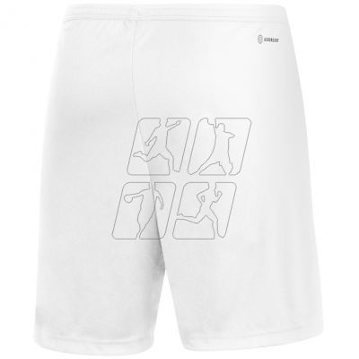 2. Adidas Entrada 22 M HG6295 shorts