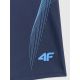 2. Men's swimming trunks 4F 4FWSS26USWTM073-20S