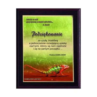 8. Plastic diploma with color touch laminate