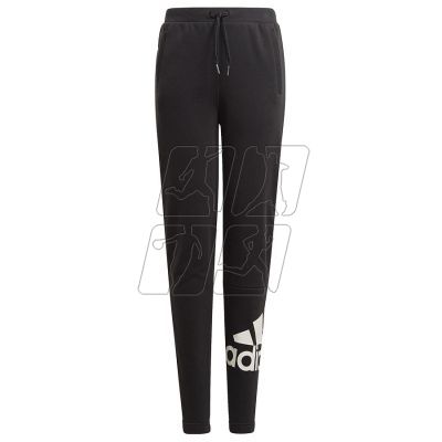 2. Pants adidas BL FT O PT Jr GN4064