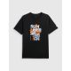 Men's T-shirt 4F 4FWSS26TTSHM2784-20S