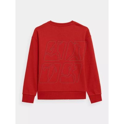 7. Sweatshirt 4F Jr. 4FJSS23TSWSM222-62S