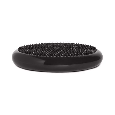 15. tiguar disc (air disc) - graphite