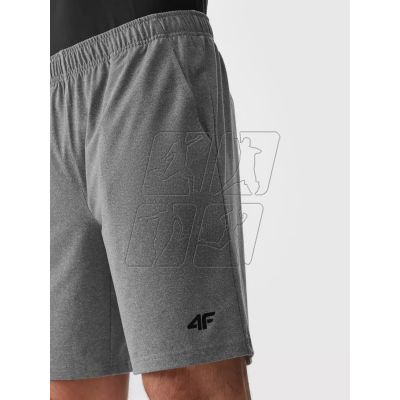 10. 4F M shorts 4FAW23TFSHM299-27M