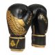 8oz Boxing Gloves - Hawk - Origin Series