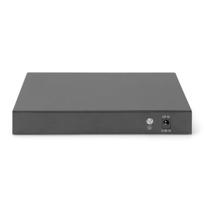 4. Digitus 8-port Gigabit + 2 SFP Gigabit ports
