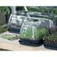 8. GREENHOUSE 3.6 L RESPANA TABLE GREENHOUSE 2 ANTHRACITE