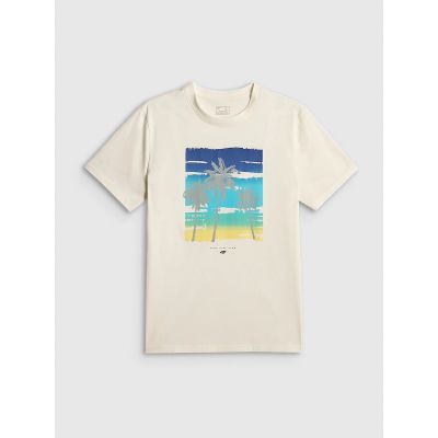 6. Men's regular printed T-shirt 4F 4FRSS26TTSHM4291-11S