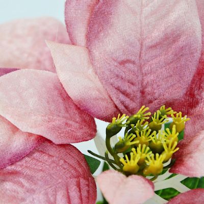 6. Poinsettia 30 cm, pink