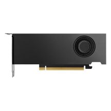 NVIDIA RTX 2000 Ada Generation - Graphics Card - PCI-Express