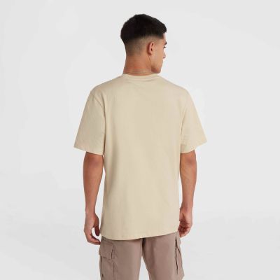 6. O'Neill Small Logo T-Shirt M 92800613999
