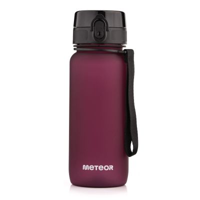 7. Meteor bottle 650 ml 17660 burgundy
