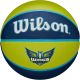 10. WILSON WNBA TEAM TRIBUTE BASKETBALL BSKT DAL WINGS YEAR 6