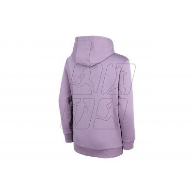 2. Sweatshirt 4F Jr. HJZ22-JBLD003 violet