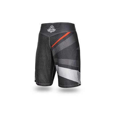 2. "Samurai" Training Shorts - Shorts for MMA, CrossTraining, Strength Training MS-129-L