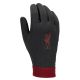 3. Nike Liverpool FC Thermafit HO23 FJ4857-010 gloves