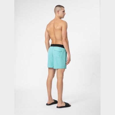 2. Shorts 4F M 4FSS23UBDSM027 turquoise