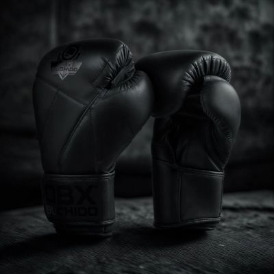 19. 10oz Boxing Gloves - Hammer Black - Valor Series