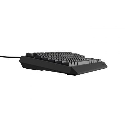10. GENESIS Thor 230 TKL Gaming Keyboard USB QWERTY Spanish Black