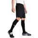 13. Puma Team Goal Men's Shorts Black 705752 03