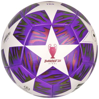 8. adidas UCL Training Ball JX9089