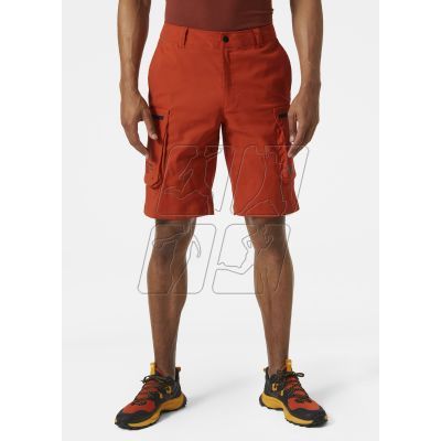 10. Helly Hansen Move Qd Shorts 2.0 M 53977 308