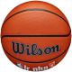 15. Wilson Jr NBA Logo Auth Outdoor Basketball WZ3011801XB6