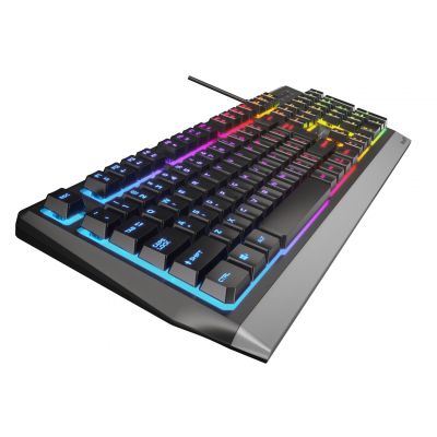 3. GENESIS GAMING KEYBOARD RHOD 300 RGB US NKG-1528