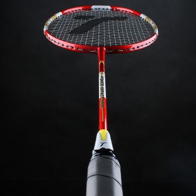 3. Techman Graphite 5006 T5006 Racket