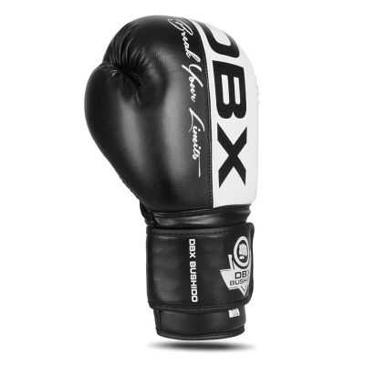 11. 10oz Boxing Gloves - Harmony - Valor Series