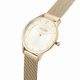 2. Paul Lorens PL10317B9-4D1 Women's Watch + BOX