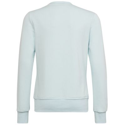7. Adidas Big Logo Swt Jr HM8707 sweatshirt