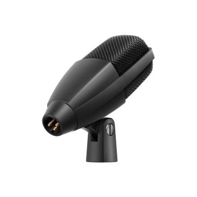 2. Sennheiser MD 421 KOMPAKT - Dynamic microphone