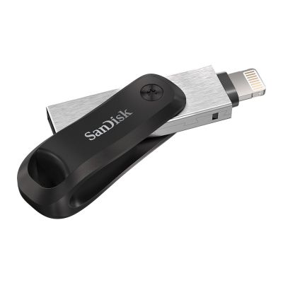 3. SanDisk iXpand GO SDIX60N-256G-GN6NE pendrive (256GB; Lightning, USB 3.0; silver color)
