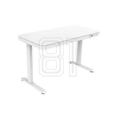 8. Urevo Spacewalk 3S treadmill + Tuckano URTM024+BIUBI electrically adjustable desk