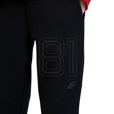 9. Trousers 4F CAS M1103 Jr 4FJWSS25TTROM1103 20S