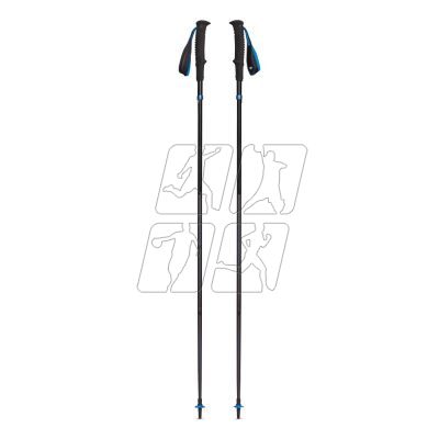 3. Black Diamond DISTANCE Trekking Poles with PEWTER POLES