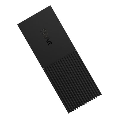 28. Asus ProArt PA40SU SSD Case