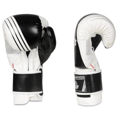 5. 10oz Boxing Gloves - Edge - Valor Series
