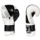 5. 10oz Boxing Gloves - Edge - Valor Series