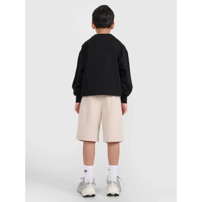 4. Boys' sweatpants 4F 4FJRSS25TSHOM684-83S