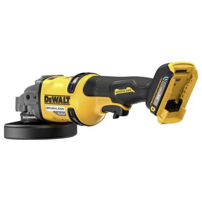 3. 54V XR FV angle grinder 125mm carton