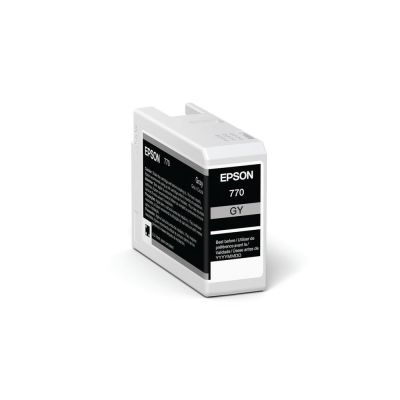 Epson Ink Gray (C13T46S700)