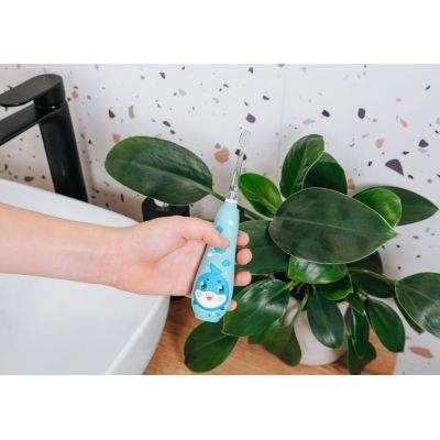 ZK3020 CONCEPT blue sonic toothbrush