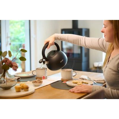 3. TEFAL N4180410 non-electric kettle