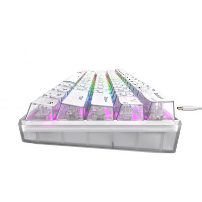 5. Havit KB903L Gaming Keyboard (Transparent White)