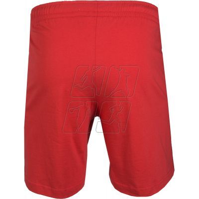 4. Colo Native Men volleyball shorts red (100% cotton)