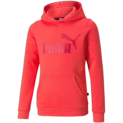 5. Puma ESS Logo Hoodie FL Jr 587031 35 sweatshirt