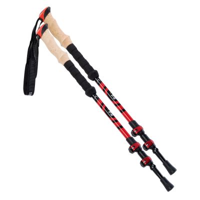 2. Kathmandu trekking poles
